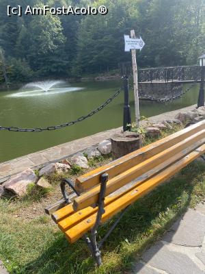 [P49] Lacul și băncuțele de la cota 1000 » foto by krisstinna
 - 
<span class="allrVoted glyphicon glyphicon-heart hidden" id="av1197275"></span>
<a class="m-l-10 hidden" id="sv1197275" onclick="voting_Foto_DelVot(,1197275,23290)" role="button">șterge vot <span class="glyphicon glyphicon-remove"></span></a>
<a id="v91197275" class=" c-red"  onclick="voting_Foto_SetVot(1197275)" role="button"><span class="glyphicon glyphicon-heart-empty"></span> <b>LIKE</b> = Votează poza</a> <img class="hidden"  id="f1197275W9" src="/imagini/loader.gif" border="0" /><span class="AjErrMes hidden" id="e1197275ErM"></span>