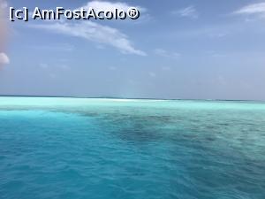 [P14] catre limba, peisajul iti taie respiratia » foto by atimespeed
 - 
<span class="allrVoted glyphicon glyphicon-heart hidden" id="av939758"></span>
<a class="m-l-10 hidden" id="sv939758" onclick="voting_Foto_DelVot(,939758,23352)" role="button">șterge vot <span class="glyphicon glyphicon-remove"></span></a>
<a id="v9939758" class=" c-red"  onclick="voting_Foto_SetVot(939758)" role="button"><span class="glyphicon glyphicon-heart-empty"></span> <b>LIKE</b> = Votează poza</a> <img class="hidden"  id="f939758W9" src="/imagini/loader.gif" border="0" /><span class="AjErrMes hidden" id="e939758ErM"></span>