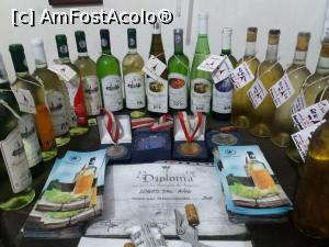 [P14] Vinurile de la crama Logos.  » foto by vulpe mihaela
 - 
<span class="allrVoted glyphicon glyphicon-heart hidden" id="av951290"></span>
<a class="m-l-10 hidden" id="sv951290" onclick="voting_Foto_DelVot(,951290,23389)" role="button">șterge vot <span class="glyphicon glyphicon-remove"></span></a>
<a id="v9951290" class=" c-red"  onclick="voting_Foto_SetVot(951290)" role="button"><span class="glyphicon glyphicon-heart-empty"></span> <b>LIKE</b> = Votează poza</a> <img class="hidden"  id="f951290W9" src="/imagini/loader.gif" border="0" /><span class="AjErrMes hidden" id="e951290ErM"></span>