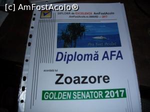 [P37] Și diplomă!  » foto by Zoazore
 - 
<span class="allrVoted glyphicon glyphicon-heart hidden" id="av952109"></span>
<a class="m-l-10 hidden" id="sv952109" onclick="voting_Foto_DelVot(,952109,23389)" role="button">șterge vot <span class="glyphicon glyphicon-remove"></span></a>
<a id="v9952109" class=" c-red"  onclick="voting_Foto_SetVot(952109)" role="button"><span class="glyphicon glyphicon-heart-empty"></span> <b>LIKE</b> = Votează poza</a> <img class="hidden"  id="f952109W9" src="/imagini/loader.gif" border="0" /><span class="AjErrMes hidden" id="e952109ErM"></span>