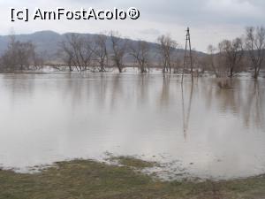 [P02] Pe drum o fo* inundății » foto by mihaelavoicu
 - 
<span class="allrVoted glyphicon glyphicon-heart hidden" id="av950827"></span>
<a class="m-l-10 hidden" id="sv950827" onclick="voting_Foto_DelVot(,950827,23389)" role="button">șterge vot <span class="glyphicon glyphicon-remove"></span></a>
<a id="v9950827" class=" c-red"  onclick="voting_Foto_SetVot(950827)" role="button"><span class="glyphicon glyphicon-heart-empty"></span> <b>LIKE</b> = Votează poza</a> <img class="hidden"  id="f950827W9" src="/imagini/loader.gif" border="0" /><span class="AjErrMes hidden" id="e950827ErM"></span>