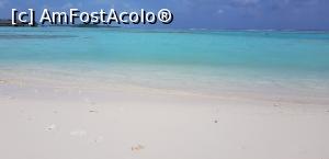 [P09] paradis » foto by mariana07
 - 
<span class="allrVoted glyphicon glyphicon-heart hidden" id="av1044229"></span>
<a class="m-l-10 hidden" id="sv1044229" onclick="voting_Foto_DelVot(,1044229,23396)" role="button">șterge vot <span class="glyphicon glyphicon-remove"></span></a>
<a id="v91044229" class=" c-red"  onclick="voting_Foto_SetVot(1044229)" role="button"><span class="glyphicon glyphicon-heart-empty"></span> <b>LIKE</b> = Votează poza</a> <img class="hidden"  id="f1044229W9" src="/imagini/loader.gif" border="0" /><span class="AjErrMes hidden" id="e1044229ErM"></span>