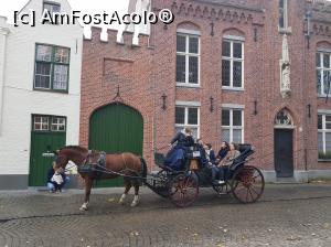 [P17] La pas prin Bruges » foto by andreea_c
 - 
<span class="allrVoted glyphicon glyphicon-heart hidden" id="av942826"></span>
<a class="m-l-10 hidden" id="sv942826" onclick="voting_Foto_DelVot(,942826,23414)" role="button">șterge vot <span class="glyphicon glyphicon-remove"></span></a>
<a id="v9942826" class=" c-red"  onclick="voting_Foto_SetVot(942826)" role="button"><span class="glyphicon glyphicon-heart-empty"></span> <b>LIKE</b> = Votează poza</a> <img class="hidden"  id="f942826W9" src="/imagini/loader.gif" border="0" /><span class="AjErrMes hidden" id="e942826ErM"></span>