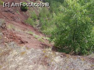 [P12] Racoș - Vulcanul stins. » foto by iulianic
 - 
<span class="allrVoted glyphicon glyphicon-heart hidden" id="av1318953"></span>
<a class="m-l-10 hidden" id="sv1318953" onclick="voting_Foto_DelVot(,1318953,23427)" role="button">șterge vot <span class="glyphicon glyphicon-remove"></span></a>
<a id="v91318953" class=" c-red"  onclick="voting_Foto_SetVot(1318953)" role="button"><span class="glyphicon glyphicon-heart-empty"></span> <b>LIKE</b> = Votează poza</a> <img class="hidden"  id="f1318953W9" src="/imagini/loader.gif" border="0" /><span class="AjErrMes hidden" id="e1318953ErM"></span>