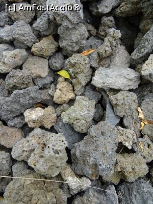 [P10] Roci vulcanice. » foto by tata123 🔱
 - 
<span class="allrVoted glyphicon glyphicon-heart hidden" id="av1258678"></span>
<a class="m-l-10 hidden" id="sv1258678" onclick="voting_Foto_DelVot(,1258678,23427)" role="button">șterge vot <span class="glyphicon glyphicon-remove"></span></a>
<a id="v91258678" class=" c-red"  onclick="voting_Foto_SetVot(1258678)" role="button"><span class="glyphicon glyphicon-heart-empty"></span> <b>LIKE</b> = Votează poza</a> <img class="hidden"  id="f1258678W9" src="/imagini/loader.gif" border="0" /><span class="AjErrMes hidden" id="e1258678ErM"></span>