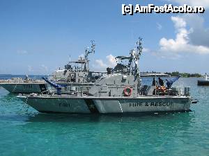 [P13] Nevele care pazeau biroul presedintelui. Erau vreo 10 in total.  » foto by expertu
 - 
<span class="allrVoted glyphicon glyphicon-heart hidden" id="av484519"></span>
<a class="m-l-10 hidden" id="sv484519" onclick="voting_Foto_DelVot(,484519,23464)" role="button">șterge vot <span class="glyphicon glyphicon-remove"></span></a>
<a id="v9484519" class=" c-red"  onclick="voting_Foto_SetVot(484519)" role="button"><span class="glyphicon glyphicon-heart-empty"></span> <b>LIKE</b> = Votează poza</a> <img class="hidden"  id="f484519W9" src="/imagini/loader.gif" border="0" /><span class="AjErrMes hidden" id="e484519ErM"></span>