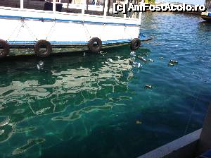 [P07] Mizeria din Male.  » foto by expertu
 - 
<span class="allrVoted glyphicon glyphicon-heart hidden" id="av484513"></span>
<a class="m-l-10 hidden" id="sv484513" onclick="voting_Foto_DelVot(,484513,23464)" role="button">șterge vot <span class="glyphicon glyphicon-remove"></span></a>
<a id="v9484513" class=" c-red"  onclick="voting_Foto_SetVot(484513)" role="button"><span class="glyphicon glyphicon-heart-empty"></span> <b>LIKE</b> = Votează poza</a> <img class="hidden"  id="f484513W9" src="/imagini/loader.gif" border="0" /><span class="AjErrMes hidden" id="e484513ErM"></span>