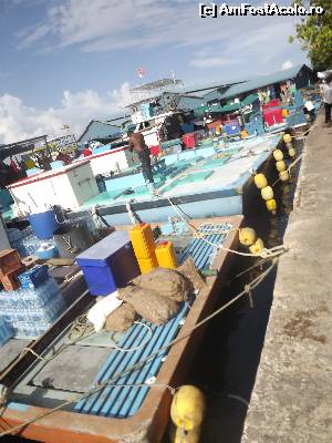 [P12] vase în portul industrial » foto by robert
 - 
<span class="allrVoted glyphicon glyphicon-heart hidden" id="av670954"></span>
<a class="m-l-10 hidden" id="sv670954" onclick="voting_Foto_DelVot(,670954,23464)" role="button">șterge vot <span class="glyphicon glyphicon-remove"></span></a>
<a id="v9670954" class=" c-red"  onclick="voting_Foto_SetVot(670954)" role="button"><span class="glyphicon glyphicon-heart-empty"></span> <b>LIKE</b> = Votează poza</a> <img class="hidden"  id="f670954W9" src="/imagini/loader.gif" border="0" /><span class="AjErrMes hidden" id="e670954ErM"></span>