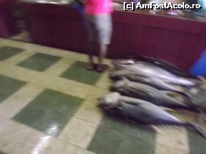 [P17] rechini de recif scuze de calitatea imaginii » foto by robert
 - 
<span class="allrVoted glyphicon glyphicon-heart hidden" id="av670961"></span>
<a class="m-l-10 hidden" id="sv670961" onclick="voting_Foto_DelVot(,670961,23464)" role="button">șterge vot <span class="glyphicon glyphicon-remove"></span></a>
<a id="v9670961" class=" c-red"  onclick="voting_Foto_SetVot(670961)" role="button"><span class="glyphicon glyphicon-heart-empty"></span> <b>LIKE</b> = Votează poza</a> <img class="hidden"  id="f670961W9" src="/imagini/loader.gif" border="0" /><span class="AjErrMes hidden" id="e670961ErM"></span>