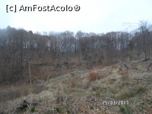 [P49]  -- <small>// FĂRĂ DESCRIERE</small> » foto by alexpetre2004
 - 
<span class="allrVoted glyphicon glyphicon-heart hidden" id="av1047794"></span>
<a class="m-l-10 hidden" id="sv1047794" onclick="voting_Foto_DelVot(,1047794,23474)" role="button">șterge vot <span class="glyphicon glyphicon-remove"></span></a>
<a id="v91047794" class=" c-red"  onclick="voting_Foto_SetVot(1047794)" role="button"><span class="glyphicon glyphicon-heart-empty"></span> <b>LIKE</b> = Votează poza</a> <img class="hidden"  id="f1047794W9" src="/imagini/loader.gif" border="0" /><span class="AjErrMes hidden" id="e1047794ErM"></span>