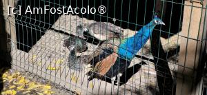 [P47] 47. Exponate fără codul QR. » foto by msnd
 - 
<span class="allrVoted glyphicon glyphicon-heart hidden" id="av1508945"></span>
<a class="m-l-10 hidden" id="sv1508945" onclick="voting_Foto_DelVot(,1508945,23475)" role="button">șterge vot <span class="glyphicon glyphicon-remove"></span></a>
<a id="v91508945" class=" c-red"  onclick="voting_Foto_SetVot(1508945)" role="button"><span class="glyphicon glyphicon-heart-empty"></span> <b>LIKE</b> = Votează poza</a> <img class="hidden"  id="f1508945W9" src="/imagini/loader.gif" border="0" /><span class="AjErrMes hidden" id="e1508945ErM"></span>