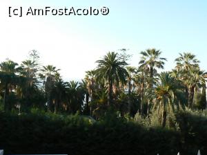 [P04] Imaine vazuta din camera spre curtea vecina » foto by DOINITA
 - 
<span class="allrVoted glyphicon glyphicon-heart hidden" id="av949620"></span>
<a class="m-l-10 hidden" id="sv949620" onclick="voting_Foto_DelVot(,949620,23524)" role="button">șterge vot <span class="glyphicon glyphicon-remove"></span></a>
<a id="v9949620" class=" c-red"  onclick="voting_Foto_SetVot(949620)" role="button"><span class="glyphicon glyphicon-heart-empty"></span> <b>LIKE</b> = Votează poza</a> <img class="hidden"  id="f949620W9" src="/imagini/loader.gif" border="0" /><span class="AjErrMes hidden" id="e949620ErM"></span>