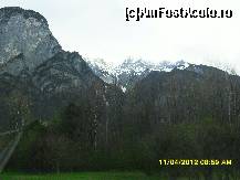 [P26]  -- <small>// FĂRĂ DESCRIERE</small> » foto by adryana
 - 
<span class="allrVoted glyphicon glyphicon-heart hidden" id="av318005"></span>
<a class="m-l-10 hidden" id="sv318005" onclick="voting_Foto_DelVot(,318005,23568)" role="button">șterge vot <span class="glyphicon glyphicon-remove"></span></a>
<a id="v9318005" class=" c-red"  onclick="voting_Foto_SetVot(318005)" role="button"><span class="glyphicon glyphicon-heart-empty"></span> <b>LIKE</b> = Votează poza</a> <img class="hidden"  id="f318005W9" src="/imagini/loader.gif" border="0" /><span class="AjErrMes hidden" id="e318005ErM"></span>