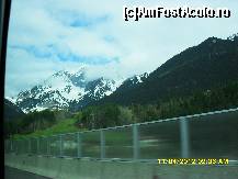 [P48]  -- <small>// FĂRĂ DESCRIERE</small> » foto by adryana
 - 
<span class="allrVoted glyphicon glyphicon-heart hidden" id="av318027"></span>
<a class="m-l-10 hidden" id="sv318027" onclick="voting_Foto_DelVot(,318027,23568)" role="button">șterge vot <span class="glyphicon glyphicon-remove"></span></a>
<a id="v9318027" class=" c-red"  onclick="voting_Foto_SetVot(318027)" role="button"><span class="glyphicon glyphicon-heart-empty"></span> <b>LIKE</b> = Votează poza</a> <img class="hidden"  id="f318027W9" src="/imagini/loader.gif" border="0" /><span class="AjErrMes hidden" id="e318027ErM"></span>