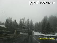 [P71]  -- <small>// FĂRĂ DESCRIERE</small> » foto by adryana
 - 
<span class="allrVoted glyphicon glyphicon-heart hidden" id="av318053"></span>
<a class="m-l-10 hidden" id="sv318053" onclick="voting_Foto_DelVot(,318053,23568)" role="button">șterge vot <span class="glyphicon glyphicon-remove"></span></a>
<a id="v9318053" class=" c-red"  onclick="voting_Foto_SetVot(318053)" role="button"><span class="glyphicon glyphicon-heart-empty"></span> <b>LIKE</b> = Votează poza</a> <img class="hidden"  id="f318053W9" src="/imagini/loader.gif" border="0" /><span class="AjErrMes hidden" id="e318053ErM"></span>