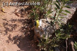 [P24] Creta, Zakros, Defileul Morților face parte din Traseul european de drumeții E4, bine marcat acum... » foto by mprofeanu
 - 
<span class="allrVoted glyphicon glyphicon-heart hidden" id="av1278373"></span>
<a class="m-l-10 hidden" id="sv1278373" onclick="voting_Foto_DelVot(,1278373,23643)" role="button">șterge vot <span class="glyphicon glyphicon-remove"></span></a>
<a id="v91278373" class=" c-red"  onclick="voting_Foto_SetVot(1278373)" role="button"><span class="glyphicon glyphicon-heart-empty"></span> <b>LIKE</b> = Votează poza</a> <img class="hidden"  id="f1278373W9" src="/imagini/loader.gif" border="0" /><span class="AjErrMes hidden" id="e1278373ErM"></span>
