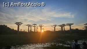 [P12] celebra Alee a Baobabilor » foto by robert
 - 
<span class="allrVoted glyphicon glyphicon-heart hidden" id="av1497963"></span>
<a class="m-l-10 hidden" id="sv1497963" onclick="voting_Foto_DelVot(,1497963,23651)" role="button">șterge vot <span class="glyphicon glyphicon-remove"></span></a>
<a id="v91497963" class=" c-red"  onclick="voting_Foto_SetVot(1497963)" role="button"><span class="glyphicon glyphicon-heart-empty"></span> <b>LIKE</b> = Votează poza</a> <img class="hidden"  id="f1497963W9" src="/imagini/loader.gif" border="0" /><span class="AjErrMes hidden" id="e1497963ErM"></span>