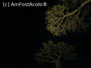 [P13] noaptea în Africa » foto by robert
 - 
<span class="allrVoted glyphicon glyphicon-heart hidden" id="av1497964"></span>
<a class="m-l-10 hidden" id="sv1497964" onclick="voting_Foto_DelVot(,1497964,23651)" role="button">șterge vot <span class="glyphicon glyphicon-remove"></span></a>
<a id="v91497964" class=" c-red"  onclick="voting_Foto_SetVot(1497964)" role="button"><span class="glyphicon glyphicon-heart-empty"></span> <b>LIKE</b> = Votează poza</a> <img class="hidden"  id="f1497964W9" src="/imagini/loader.gif" border="0" /><span class="AjErrMes hidden" id="e1497964ErM"></span>