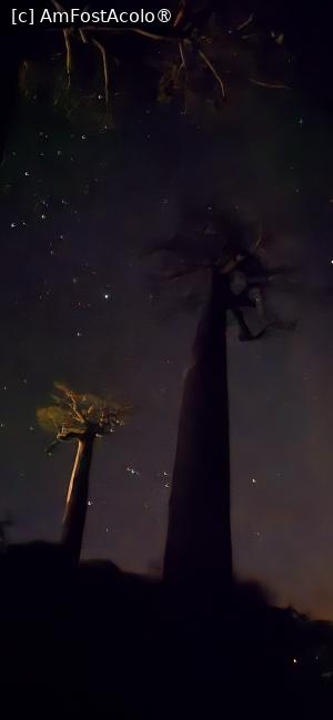 [P16] noaptea în Africa » foto by robert
 - 
<span class="allrVoted glyphicon glyphicon-heart hidden" id="av1497967"></span>
<a class="m-l-10 hidden" id="sv1497967" onclick="voting_Foto_DelVot(,1497967,23651)" role="button">șterge vot <span class="glyphicon glyphicon-remove"></span></a>
<a id="v91497967" class=" c-red"  onclick="voting_Foto_SetVot(1497967)" role="button"><span class="glyphicon glyphicon-heart-empty"></span> <b>LIKE</b> = Votează poza</a> <img class="hidden"  id="f1497967W9" src="/imagini/loader.gif" border="0" /><span class="AjErrMes hidden" id="e1497967ErM"></span>