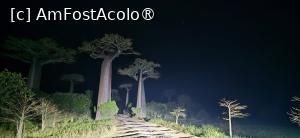 [P18] noaptea în Africa » foto by robert
 - 
<span class="allrVoted glyphicon glyphicon-heart hidden" id="av1497969"></span>
<a class="m-l-10 hidden" id="sv1497969" onclick="voting_Foto_DelVot(,1497969,23651)" role="button">șterge vot <span class="glyphicon glyphicon-remove"></span></a>
<a id="v91497969" class=" c-red"  onclick="voting_Foto_SetVot(1497969)" role="button"><span class="glyphicon glyphicon-heart-empty"></span> <b>LIKE</b> = Votează poza</a> <img class="hidden"  id="f1497969W9" src="/imagini/loader.gif" border="0" /><span class="AjErrMes hidden" id="e1497969ErM"></span>