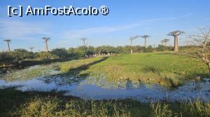 [P04] celebra Alee a Baobabilor » foto by robert
 - 
<span class="allrVoted glyphicon glyphicon-heart hidden" id="av1497955"></span>
<a class="m-l-10 hidden" id="sv1497955" onclick="voting_Foto_DelVot(,1497955,23651)" role="button">șterge vot <span class="glyphicon glyphicon-remove"></span></a>
<a id="v91497955" class=" c-red"  onclick="voting_Foto_SetVot(1497955)" role="button"><span class="glyphicon glyphicon-heart-empty"></span> <b>LIKE</b> = Votează poza</a> <img class="hidden"  id="f1497955W9" src="/imagini/loader.gif" border="0" /><span class="AjErrMes hidden" id="e1497955ErM"></span>