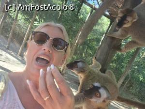 [P11] în rezervația Kirindy » foto by robert
 - 
<span class="allrVoted glyphicon glyphicon-heart hidden" id="av1498632"></span>
<a class="m-l-10 hidden" id="sv1498632" onclick="voting_Foto_DelVot(,1498632,23651)" role="button">șterge vot <span class="glyphicon glyphicon-remove"></span></a>
<a id="v91498632" class=" c-red"  onclick="voting_Foto_SetVot(1498632)" role="button"><span class="glyphicon glyphicon-heart-empty"></span> <b>LIKE</b> = Votează poza</a> <img class="hidden"  id="f1498632W9" src="/imagini/loader.gif" border="0" /><span class="AjErrMes hidden" id="e1498632ErM"></span>