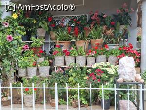 [P26] la un atelier meșteșugăresc » foto by robert
 - 
<span class="allrVoted glyphicon glyphicon-heart hidden" id="av1499412"></span>
<a class="m-l-10 hidden" id="sv1499412" onclick="voting_Foto_DelVot(,1499412,23651)" role="button">șterge vot <span class="glyphicon glyphicon-remove"></span></a>
<a id="v91499412" class=" c-red"  onclick="voting_Foto_SetVot(1499412)" role="button"><span class="glyphicon glyphicon-heart-empty"></span> <b>LIKE</b> = Votează poza</a> <img class="hidden"  id="f1499412W9" src="/imagini/loader.gif" border="0" /><span class="AjErrMes hidden" id="e1499412ErM"></span>