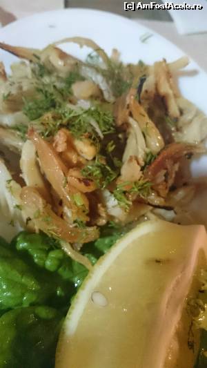 [P10] Ciroz (termen mai degraba turcesc). În farfurie erau bucăți din pisica de mare atârnată afară la zvântat. Delicios.  » foto by nila moromete
 - 
<span class="allrVoted glyphicon glyphicon-heart hidden" id="av585053"></span>
<a class="m-l-10 hidden" id="sv585053" onclick="voting_Foto_DelVot(,585053,23685)" role="button">șterge vot <span class="glyphicon glyphicon-remove"></span></a>
<a id="v9585053" class=" c-red"  onclick="voting_Foto_SetVot(585053)" role="button"><span class="glyphicon glyphicon-heart-empty"></span> <b>LIKE</b> = Votează poza</a> <img class="hidden"  id="f585053W9" src="/imagini/loader.gif" border="0" /><span class="AjErrMes hidden" id="e585053ErM"></span>