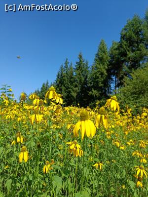 [P14] Peisaj în parcul dendrologic. » foto by tata123 🔱
 - 
<span class="allrVoted glyphicon glyphicon-heart hidden" id="av1388096"></span>
<a class="m-l-10 hidden" id="sv1388096" onclick="voting_Foto_DelVot(,1388096,23793)" role="button">șterge vot <span class="glyphicon glyphicon-remove"></span></a>
<a id="v91388096" class=" c-red"  onclick="voting_Foto_SetVot(1388096)" role="button"><span class="glyphicon glyphicon-heart-empty"></span> <b>LIKE</b> = Votează poza</a> <img class="hidden"  id="f1388096W9" src="/imagini/loader.gif" border="0" /><span class="AjErrMes hidden" id="e1388096ErM"></span>