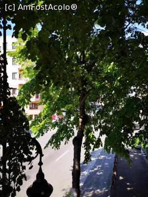 [P03] Vedere de pe balconul 'mare' » foto by mirunat
 - 
<span class="allrVoted glyphicon glyphicon-heart hidden" id="av973577"></span>
<a class="m-l-10 hidden" id="sv973577" onclick="voting_Foto_DelVot(,973577,23815)" role="button">șterge vot <span class="glyphicon glyphicon-remove"></span></a>
<a id="v9973577" class=" c-red"  onclick="voting_Foto_SetVot(973577)" role="button"><span class="glyphicon glyphicon-heart-empty"></span> <b>LIKE</b> = Votează poza</a> <img class="hidden"  id="f973577W9" src="/imagini/loader.gif" border="0" /><span class="AjErrMes hidden" id="e973577ErM"></span>