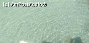 [P10] Apa clara in Moraitika » foto by Crisstin
 - 
<span class="allrVoted glyphicon glyphicon-heart hidden" id="av1238760"></span>
<a class="m-l-10 hidden" id="sv1238760" onclick="voting_Foto_DelVot(,1238760,23848)" role="button">șterge vot <span class="glyphicon glyphicon-remove"></span></a>
<a id="v91238760" class=" c-red"  onclick="voting_Foto_SetVot(1238760)" role="button"><span class="glyphicon glyphicon-heart-empty"></span> <b>LIKE</b> = Votează poza</a> <img class="hidden"  id="f1238760W9" src="/imagini/loader.gif" border="0" /><span class="AjErrMes hidden" id="e1238760ErM"></span>