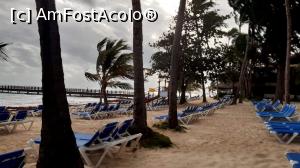 [P15] Plaja. Nu-i asa ca nisipul are o culoare ciudata ? » foto by adri-nico
 - 
<span class="allrVoted glyphicon glyphicon-heart hidden" id="av1216015"></span>
<a class="m-l-10 hidden" id="sv1216015" onclick="voting_Foto_DelVot(,1216015,23907)" role="button">șterge vot <span class="glyphicon glyphicon-remove"></span></a>
<a id="v91216015" class=" c-red"  onclick="voting_Foto_SetVot(1216015)" role="button"><span class="glyphicon glyphicon-heart-empty"></span> <b>LIKE</b> = Votează poza</a> <img class="hidden"  id="f1216015W9" src="/imagini/loader.gif" border="0" /><span class="AjErrMes hidden" id="e1216015ErM"></span>