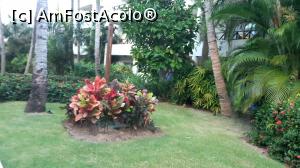 [P16] Tufă de plante cu frunze multicolore » foto by adri-nico
 - 
<span class="allrVoted glyphicon glyphicon-heart hidden" id="av1216016"></span>
<a class="m-l-10 hidden" id="sv1216016" onclick="voting_Foto_DelVot(,1216016,23907)" role="button">șterge vot <span class="glyphicon glyphicon-remove"></span></a>
<a id="v91216016" class=" c-red"  onclick="voting_Foto_SetVot(1216016)" role="button"><span class="glyphicon glyphicon-heart-empty"></span> <b>LIKE</b> = Votează poza</a> <img class="hidden"  id="f1216016W9" src="/imagini/loader.gif" border="0" /><span class="AjErrMes hidden" id="e1216016ErM"></span>