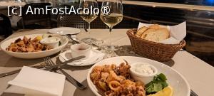 [P12] Cockney`s Restaurant, calamari cu sos tartar și lămâie » foto by irinad
 - 
<span class="allrVoted glyphicon glyphicon-heart hidden" id="av1512199"></span>
<a class="m-l-10 hidden" id="sv1512199" onclick="voting_Foto_DelVot(,1512199,23969)" role="button">șterge vot <span class="glyphicon glyphicon-remove"></span></a>
<a id="v91512199" class=" c-red"  onclick="voting_Foto_SetVot(1512199)" role="button"><span class="glyphicon glyphicon-heart-empty"></span> <b>LIKE</b> = Votează poza</a> <img class="hidden"  id="f1512199W9" src="/imagini/loader.gif" border="0" /><span class="AjErrMes hidden" id="e1512199ErM"></span>