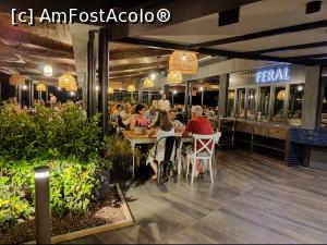 [P05] Trattoria Feral - camping Polari » foto by crismis
 - 
<span class="allrVoted glyphicon glyphicon-heart hidden" id="av1353367"></span>
<a class="m-l-10 hidden" id="sv1353367" onclick="voting_Foto_DelVot(,1353367,24110)" role="button">șterge vot <span class="glyphicon glyphicon-remove"></span></a>
<a id="v91353367" class=" c-red"  onclick="voting_Foto_SetVot(1353367)" role="button"><span class="glyphicon glyphicon-heart-empty"></span> <b>LIKE</b> = Votează poza</a> <img class="hidden"  id="f1353367W9" src="/imagini/loader.gif" border="0" /><span class="AjErrMes hidden" id="e1353367ErM"></span>