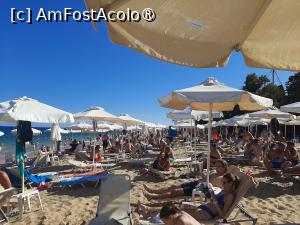 [P29] Plaja hotelului » foto by roxxie
 - 
<span class="allrVoted glyphicon glyphicon-heart hidden" id="av1499179"></span>
<a class="m-l-10 hidden" id="sv1499179" onclick="voting_Foto_DelVot(,1499179,24125)" role="button">șterge vot <span class="glyphicon glyphicon-remove"></span></a>
<a id="v91499179" class=" c-red"  onclick="voting_Foto_SetVot(1499179)" role="button"><span class="glyphicon glyphicon-heart-empty"></span> <b>LIKE</b> = Votează poza</a> <img class="hidden"  id="f1499179W9" src="/imagini/loader.gif" border="0" /><span class="AjErrMes hidden" id="e1499179ErM"></span>