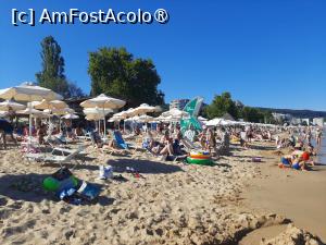 [P33] Tot pe plaja » foto by roxxie
 - 
<span class="allrVoted glyphicon glyphicon-heart hidden" id="av1499183"></span>
<a class="m-l-10 hidden" id="sv1499183" onclick="voting_Foto_DelVot(,1499183,24125)" role="button">șterge vot <span class="glyphicon glyphicon-remove"></span></a>
<a id="v91499183" class=" c-red"  onclick="voting_Foto_SetVot(1499183)" role="button"><span class="glyphicon glyphicon-heart-empty"></span> <b>LIKE</b> = Votează poza</a> <img class="hidden"  id="f1499183W9" src="/imagini/loader.gif" border="0" /><span class="AjErrMes hidden" id="e1499183ErM"></span>