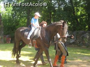 [P17] Castelul lui Tepes- Un Lupisor Alb.  » foto by Floria
 - 
<span class="allrVoted glyphicon glyphicon-heart hidden" id="av743174"></span>
<a class="m-l-10 hidden" id="sv743174" onclick="voting_Foto_DelVot(,743174,24257)" role="button">șterge vot <span class="glyphicon glyphicon-remove"></span></a>
<a id="v9743174" class=" c-red"  onclick="voting_Foto_SetVot(743174)" role="button"><span class="glyphicon glyphicon-heart-empty"></span> <b>LIKE</b> = Votează poza</a> <img class="hidden"  id="f743174W9" src="/imagini/loader.gif" border="0" /><span class="AjErrMes hidden" id="e743174ErM"></span>