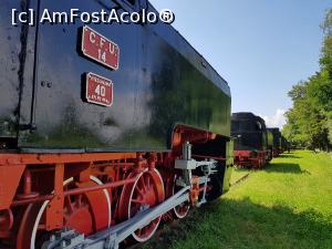 [P19] La pas printre locomotive, încercând să reținem cât mai multe detalii despre exponatele de acolo. » foto by Floryn81
 - 
<span class="allrVoted glyphicon glyphicon-heart hidden" id="av1193201"></span>
<a class="m-l-10 hidden" id="sv1193201" onclick="voting_Foto_DelVot(,1193201,24297)" role="button">șterge vot <span class="glyphicon glyphicon-remove"></span></a>
<a id="v91193201" class=" c-red"  onclick="voting_Foto_SetVot(1193201)" role="button"><span class="glyphicon glyphicon-heart-empty"></span> <b>LIKE</b> = Votează poza</a> <img class="hidden"  id="f1193201W9" src="/imagini/loader.gif" border="0" /><span class="AjErrMes hidden" id="e1193201ErM"></span>