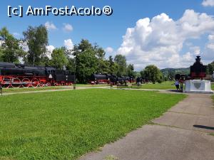 [P25] O parte din perimetrul expoziției. » foto by Floryn81
 - 
<span class="allrVoted glyphicon glyphicon-heart hidden" id="av1193207"></span>
<a class="m-l-10 hidden" id="sv1193207" onclick="voting_Foto_DelVot(,1193207,24297)" role="button">șterge vot <span class="glyphicon glyphicon-remove"></span></a>
<a id="v91193207" class=" c-red"  onclick="voting_Foto_SetVot(1193207)" role="button"><span class="glyphicon glyphicon-heart-empty"></span> <b>LIKE</b> = Votează poza</a> <img class="hidden"  id="f1193207W9" src="/imagini/loader.gif" border="0" /><span class="AjErrMes hidden" id="e1193207ErM"></span>