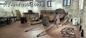 [P21] Ocupații zonale. » foto by tata123 🔱
 - 
<span class="allrVoted glyphicon glyphicon-heart hidden" id="av1497597"></span>
<a class="m-l-10 hidden" id="sv1497597" onclick="voting_Foto_DelVot(,1497597,24302)" role="button">șterge vot <span class="glyphicon glyphicon-remove"></span></a>
<a id="v91497597" class=" c-red"  onclick="voting_Foto_SetVot(1497597)" role="button"><span class="glyphicon glyphicon-heart-empty"></span> <b>LIKE</b> = Votează poza</a> <img class="hidden"  id="f1497597W9" src="/imagini/loader.gif" border="0" /><span class="AjErrMes hidden" id="e1497597ErM"></span>