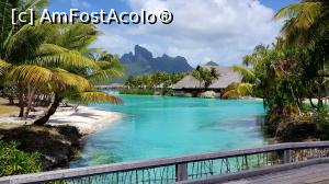 [P14] La Four Season Bora Bora » foto by C@t@
 - 
<span class="allrVoted glyphicon glyphicon-heart hidden" id="av1008376"></span>
<a class="m-l-10 hidden" id="sv1008376" onclick="voting_Foto_DelVot(,1008376,24316)" role="button">șterge vot <span class="glyphicon glyphicon-remove"></span></a>
<a id="v91008376" class=" c-red"  onclick="voting_Foto_SetVot(1008376)" role="button"><span class="glyphicon glyphicon-heart-empty"></span> <b>LIKE</b> = Votează poza</a> <img class="hidden"  id="f1008376W9" src="/imagini/loader.gif" border="0" /><span class="AjErrMes hidden" id="e1008376ErM"></span>