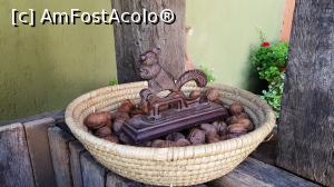 [P42] Si daca ati cules nucile...  » foto by DOINITA
 - 
<span class="allrVoted glyphicon glyphicon-heart hidden" id="av1019186"></span>
<a class="m-l-10 hidden" id="sv1019186" onclick="voting_Foto_DelVot(,1019186,24444)" role="button">șterge vot <span class="glyphicon glyphicon-remove"></span></a>
<a id="v91019186" class=" c-red"  onclick="voting_Foto_SetVot(1019186)" role="button"><span class="glyphicon glyphicon-heart-empty"></span> <b>LIKE</b> = Votează poza</a> <img class="hidden"  id="f1019186W9" src="/imagini/loader.gif" border="0" /><span class="AjErrMes hidden" id="e1019186ErM"></span>