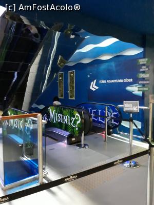[P21] coboram spre alta sectiune a expozitiei » foto by adrianbogdan
 - 
<span class="allrVoted glyphicon glyphicon-heart hidden" id="av1020247"></span>
<a class="m-l-10 hidden" id="sv1020247" onclick="voting_Foto_DelVot(,1020247,24461)" role="button">șterge vot <span class="glyphicon glyphicon-remove"></span></a>
<a id="v91020247" class=" c-red"  onclick="voting_Foto_SetVot(1020247)" role="button"><span class="glyphicon glyphicon-heart-empty"></span> <b>LIKE</b> = Votează poza</a> <img class="hidden"  id="f1020247W9" src="/imagini/loader.gif" border="0" /><span class="AjErrMes hidden" id="e1020247ErM"></span>