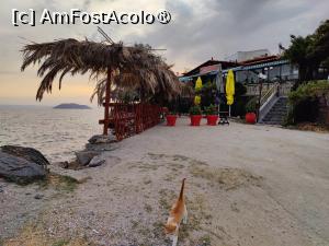 [P13] Taverna Karanasou » foto by crismis
 - 
<span class="allrVoted glyphicon glyphicon-heart hidden" id="av1418156"></span>
<a class="m-l-10 hidden" id="sv1418156" onclick="voting_Foto_DelVot(,1418156,24481)" role="button">șterge vot <span class="glyphicon glyphicon-remove"></span></a>
<a id="v91418156" class=" c-red"  onclick="voting_Foto_SetVot(1418156)" role="button"><span class="glyphicon glyphicon-heart-empty"></span> <b>LIKE</b> = Votează poza</a> <img class="hidden"  id="f1418156W9" src="/imagini/loader.gif" border="0" /><span class="AjErrMes hidden" id="e1418156ErM"></span>