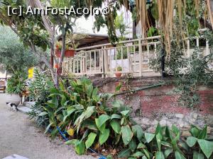 [P05] Taverna Karanasou » foto by crismis
 - 
<span class="allrVoted glyphicon glyphicon-heart hidden" id="av1418148"></span>
<a class="m-l-10 hidden" id="sv1418148" onclick="voting_Foto_DelVot(,1418148,24481)" role="button">șterge vot <span class="glyphicon glyphicon-remove"></span></a>
<a id="v91418148" class=" c-red"  onclick="voting_Foto_SetVot(1418148)" role="button"><span class="glyphicon glyphicon-heart-empty"></span> <b>LIKE</b> = Votează poza</a> <img class="hidden"  id="f1418148W9" src="/imagini/loader.gif" border="0" /><span class="AjErrMes hidden" id="e1418148ErM"></span>