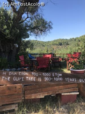 [P32] To Steki Tou Meniou » foto by krisstinna
 - 
<span class="allrVoted glyphicon glyphicon-heart hidden" id="av1024037"></span>
<a class="m-l-10 hidden" id="sv1024037" onclick="voting_Foto_DelVot(,1024037,24481)" role="button">șterge vot <span class="glyphicon glyphicon-remove"></span></a>
<a id="v91024037" class=" c-red"  onclick="voting_Foto_SetVot(1024037)" role="button"><span class="glyphicon glyphicon-heart-empty"></span> <b>LIKE</b> = Votează poza</a> <img class="hidden"  id="f1024037W9" src="/imagini/loader.gif" border="0" /><span class="AjErrMes hidden" id="e1024037ErM"></span>