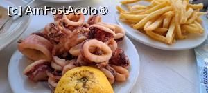 [P65] Taverna Apostolis, kalamari prăjiți » foto by irinad
 - 
<span class="allrVoted glyphicon glyphicon-heart hidden" id="av1534498"></span>
<a class="m-l-10 hidden" id="sv1534498" onclick="voting_Foto_DelVot(,1534498,24514)" role="button">șterge vot <span class="glyphicon glyphicon-remove"></span></a>
<a id="v91534498" class=" c-red"  onclick="voting_Foto_SetVot(1534498)" role="button"><span class="glyphicon glyphicon-heart-empty"></span> <b>LIKE</b> = Votează poza</a> <img class="hidden"  id="f1534498W9" src="/imagini/loader.gif" border="0" /><span class="AjErrMes hidden" id="e1534498ErM"></span>