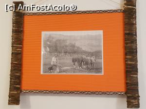 [P11] parcă vor să-l imite pe Grigorescu » foto by robert
 - 
<span class="allrVoted glyphicon glyphicon-heart hidden" id="av1024977"></span>
<a class="m-l-10 hidden" id="sv1024977" onclick="voting_Foto_DelVot(,1024977,24516)" role="button">șterge vot <span class="glyphicon glyphicon-remove"></span></a>
<a id="v91024977" class=" c-red"  onclick="voting_Foto_SetVot(1024977)" role="button"><span class="glyphicon glyphicon-heart-empty"></span> <b>LIKE</b> = Votează poza</a> <img class="hidden"  id="f1024977W9" src="/imagini/loader.gif" border="0" /><span class="AjErrMes hidden" id="e1024977ErM"></span>