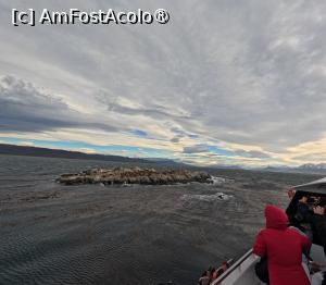 [P29]  -- <small>// FĂRĂ DESCRIERE</small> » foto by elenaadina
 - 
<span class="allrVoted glyphicon glyphicon-heart hidden" id="av1521007"></span>
<a class="m-l-10 hidden" id="sv1521007" onclick="voting_Foto_DelVot(,1521007,24560)" role="button">șterge vot <span class="glyphicon glyphicon-remove"></span></a>
<a id="v91521007" class=" c-red"  onclick="voting_Foto_SetVot(1521007)" role="button"><span class="glyphicon glyphicon-heart-empty"></span> <b>LIKE</b> = Votează poza</a> <img class="hidden"  id="f1521007W9" src="/imagini/loader.gif" border="0" /><span class="AjErrMes hidden" id="e1521007ErM"></span>